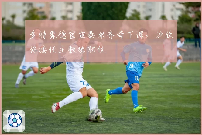 多特蒙德官宣泰尔齐奇下课,沙欣将接任主教练职位
